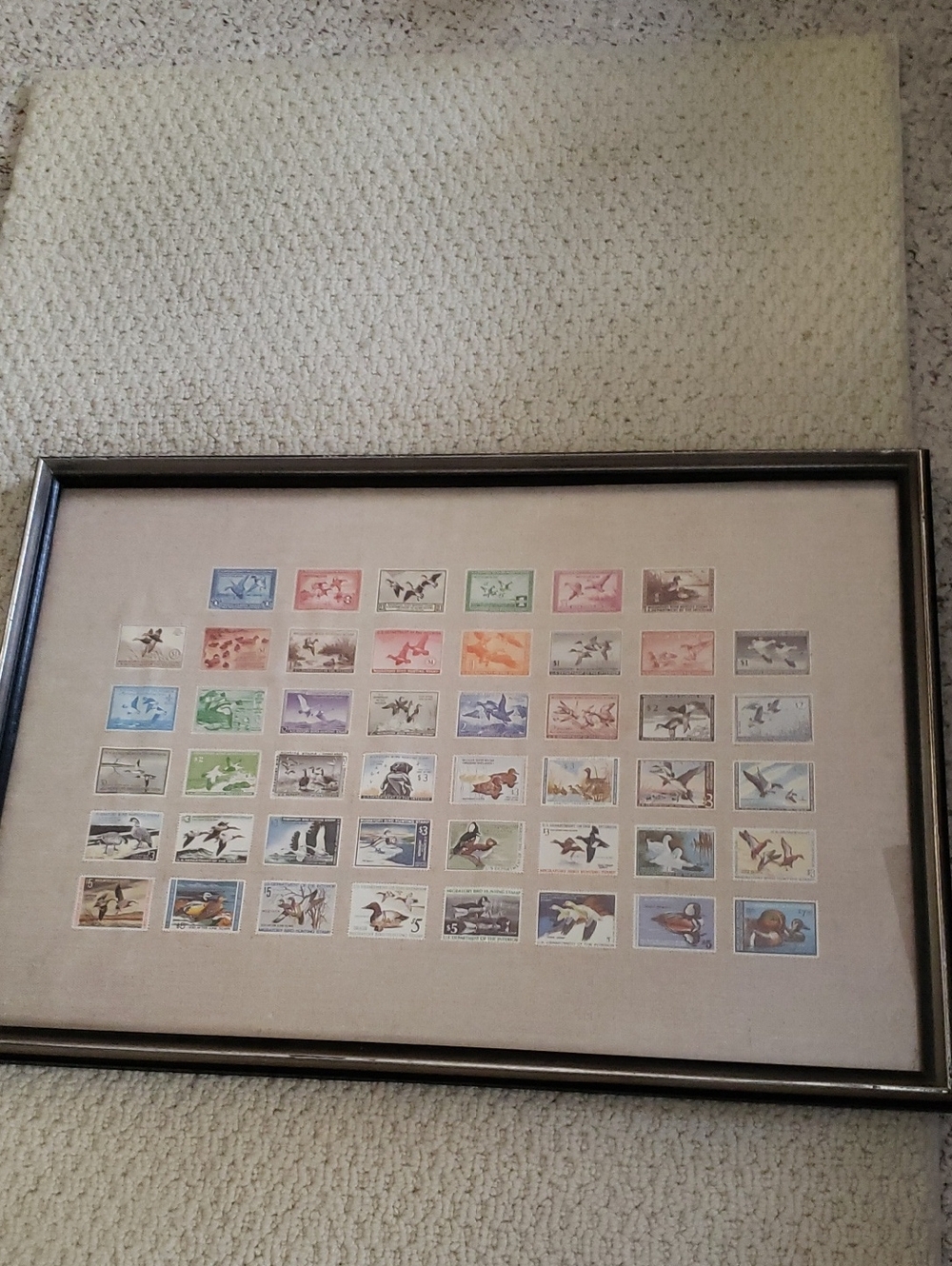 Framed Vintage Duck Stamp Collection Print- Multicolor